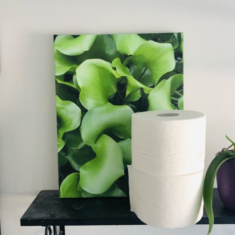 Waterless Plant, Green Pond Leaves Nature Photo on Canvas 🖼